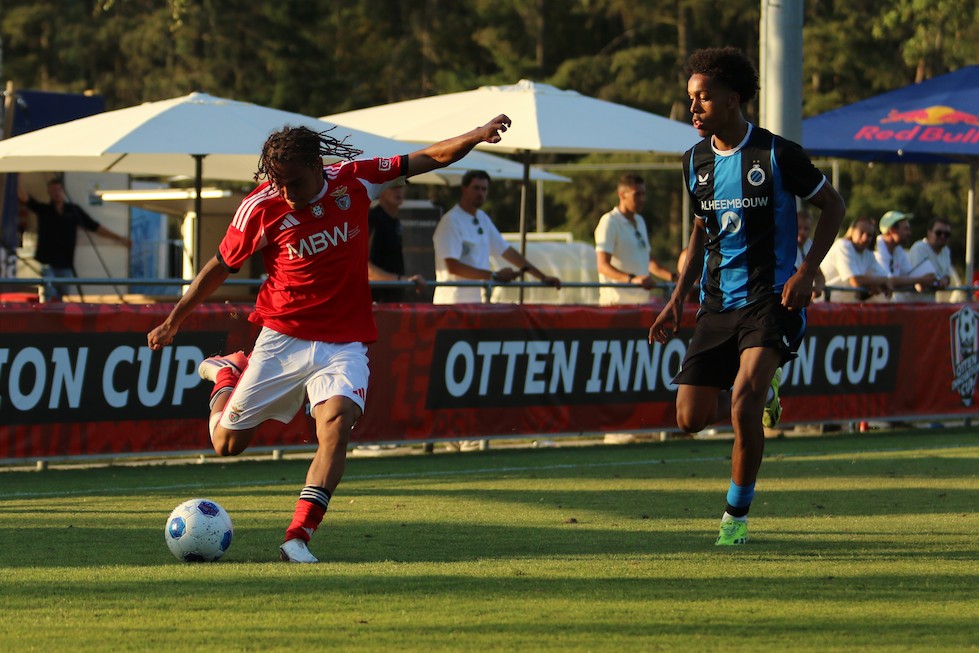 SL Benfica - Club Brugge
