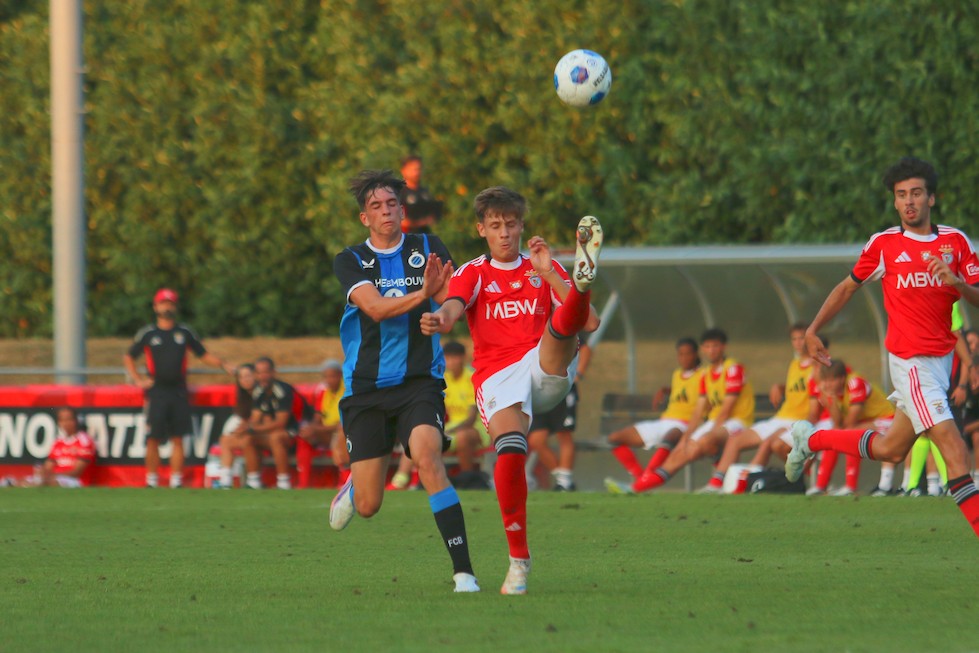 SL Benfica - Club Brugge